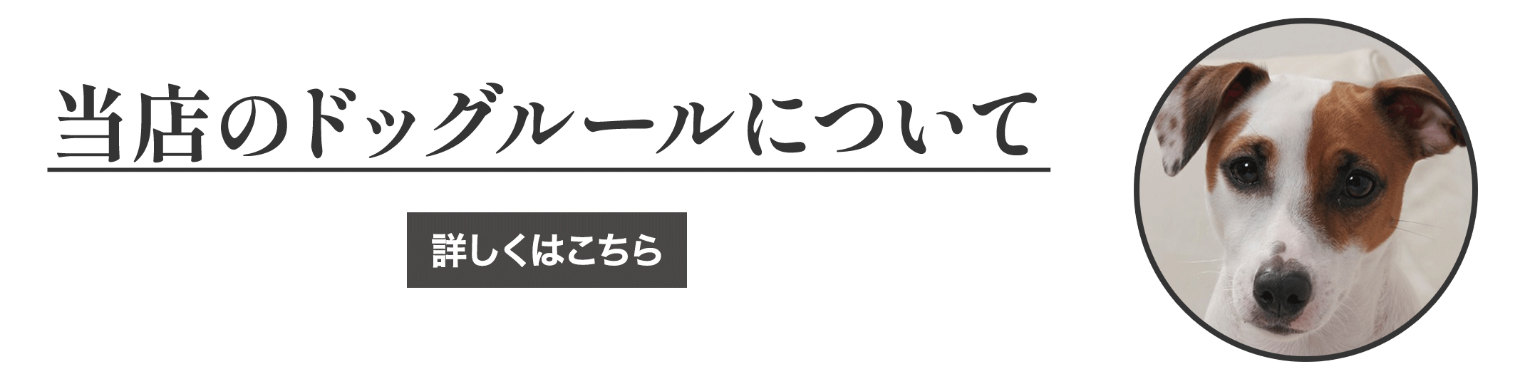 当店のドッグルールについて